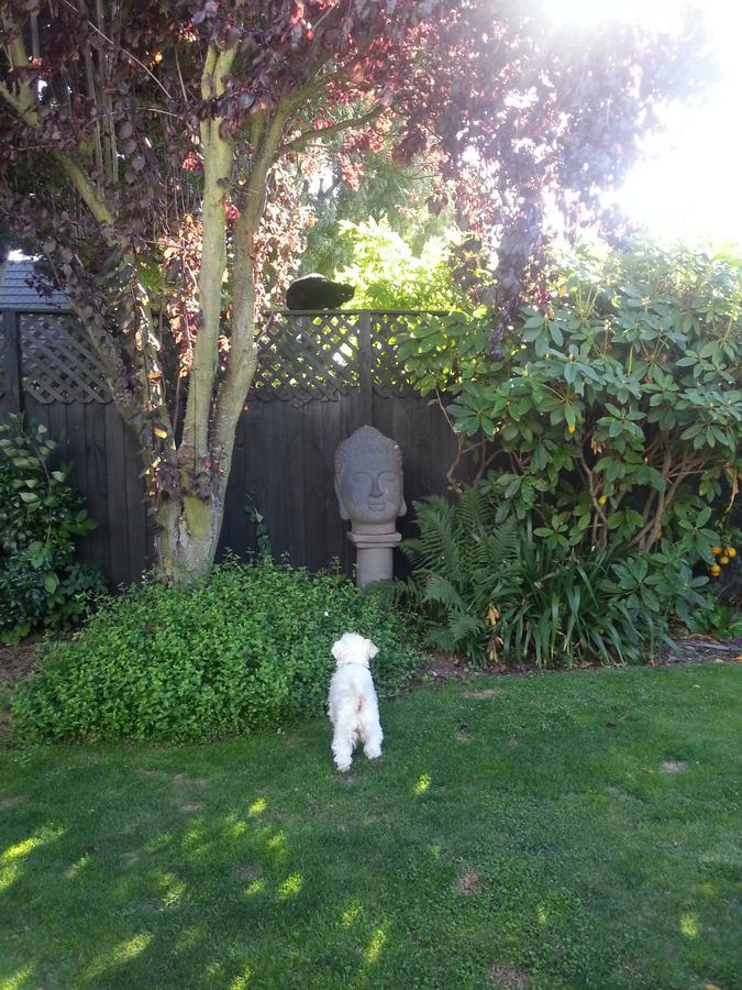 Berni'S Boutique Bnb Christchurch Ngoại thất bức ảnh
