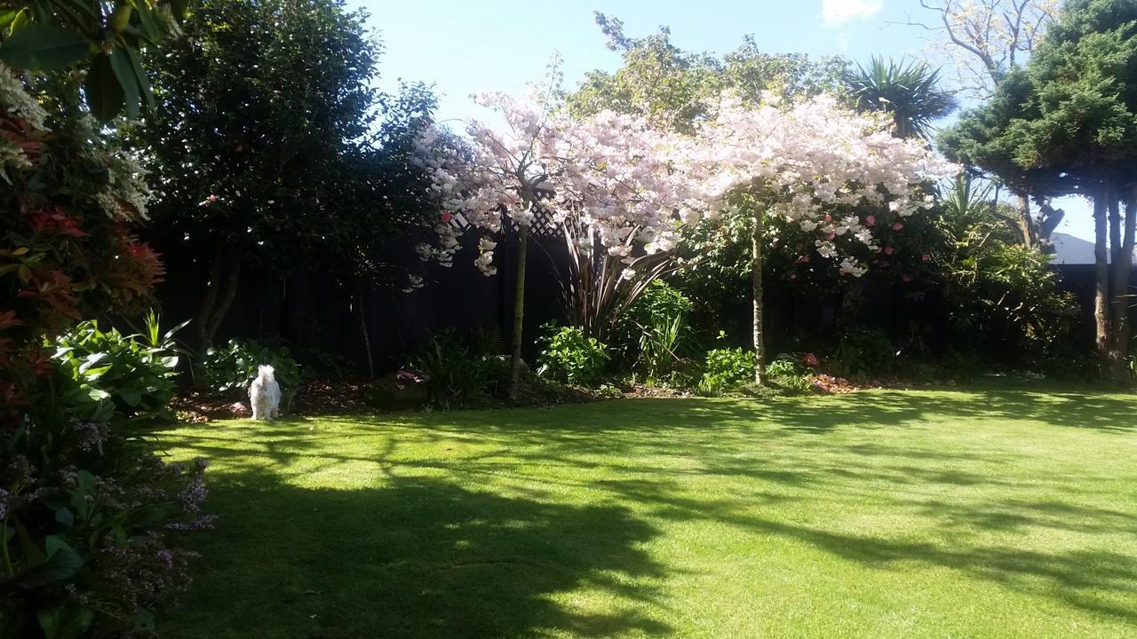 Berni'S Boutique Bnb Christchurch Ngoại thất bức ảnh